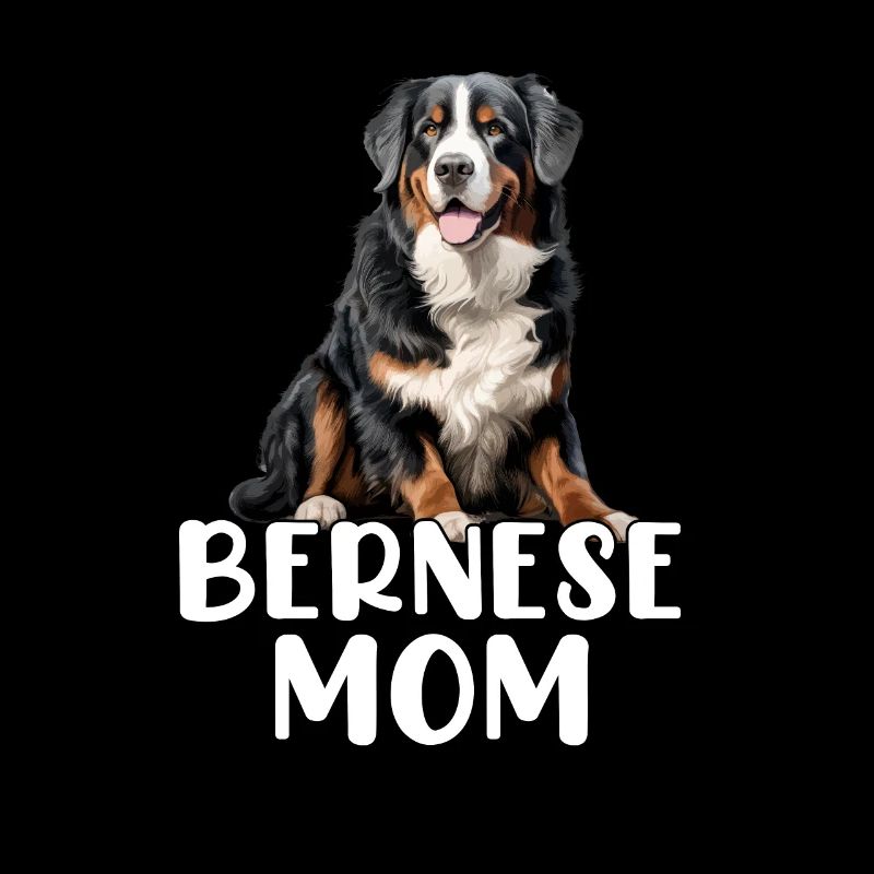 bernese mountain dog