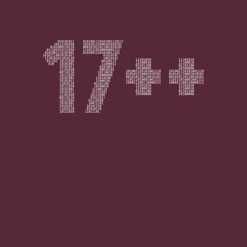 17++ Programmierer Developer Coder 18. Geburtstag