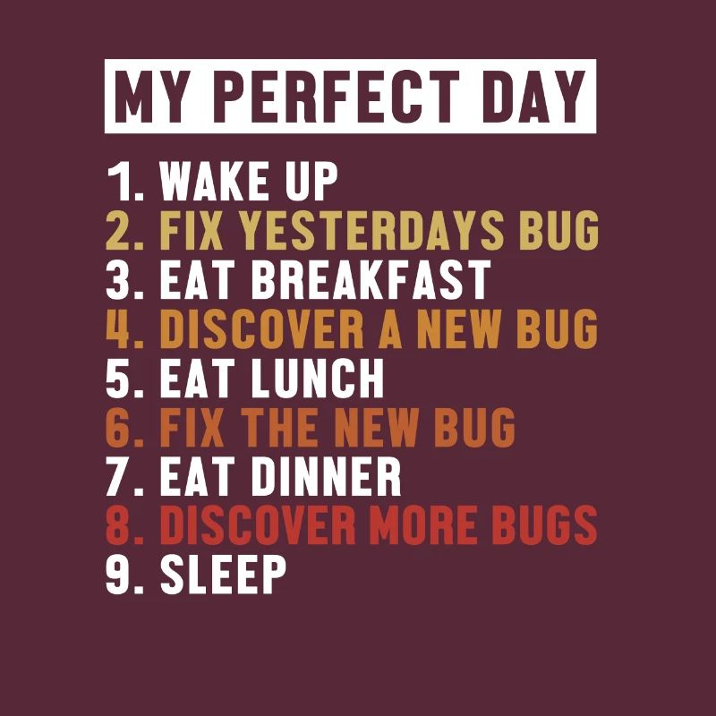Fix Bugs Perfect Day Developer Coder Programmierer