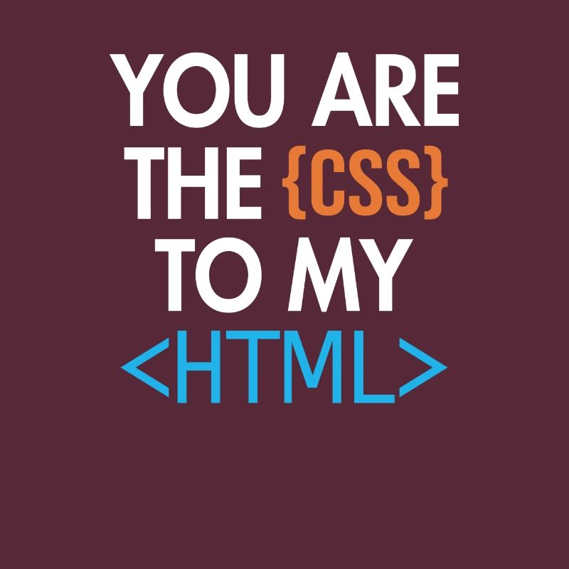 Vous êtes le CSS de mon HTML Developer Coder