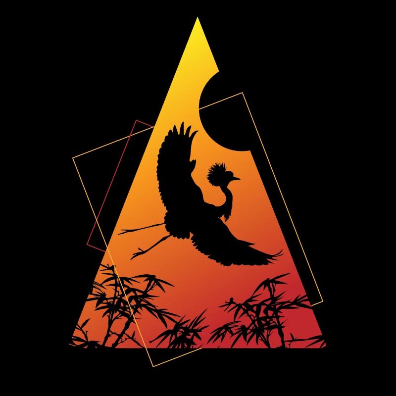 Crane Origami Geometry Creativity