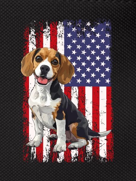 beagle American flag, beagle