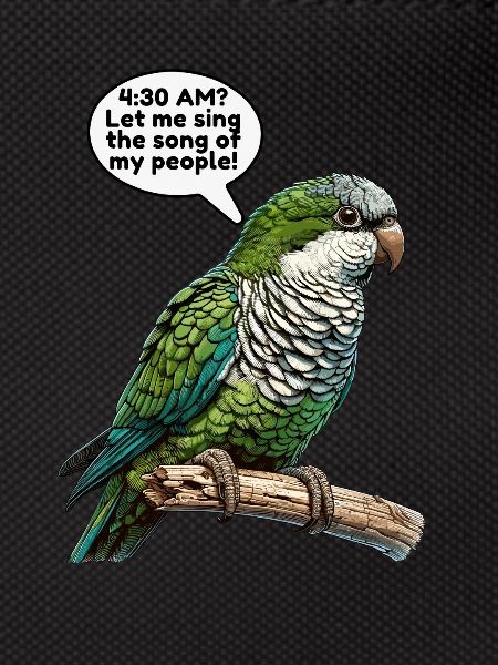 Quaker Parrot Monk Parakeet