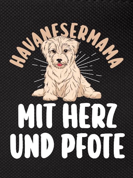 Dog Havanese