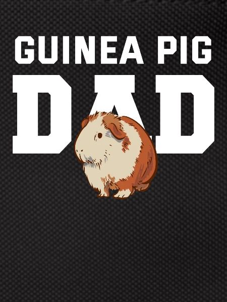 Cochon d’Inde Papa