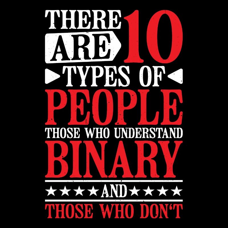 There Are 10 Types Of People, Binary Joke 12