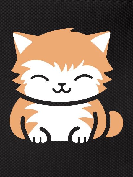 Bébé chat