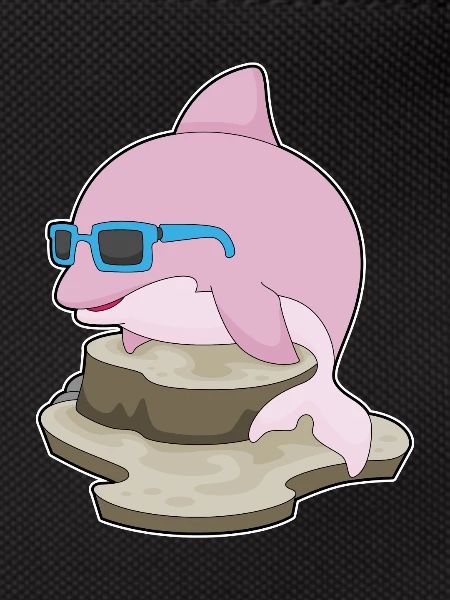 Dolphin Sunglasses