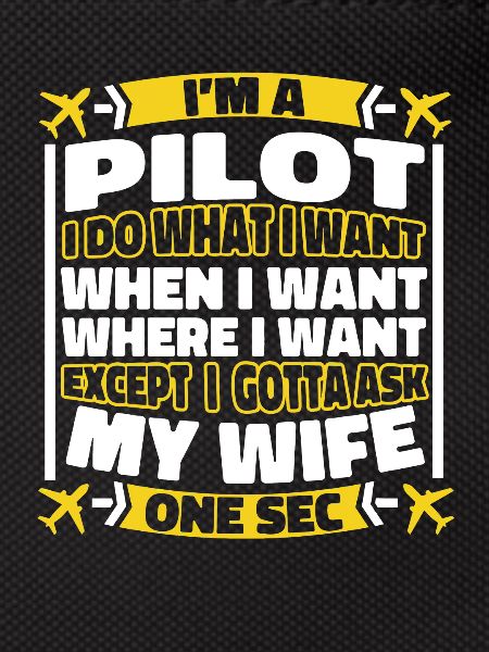 Airplane Pilot