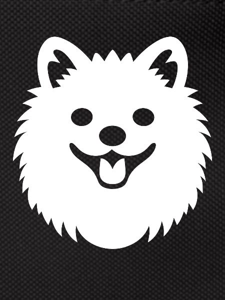 Spitz
