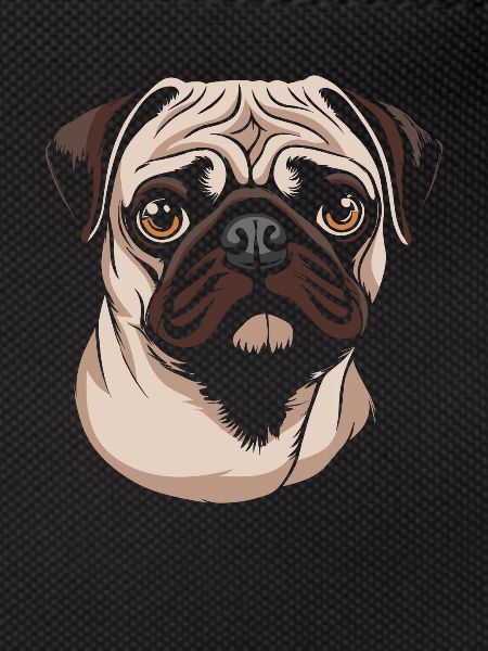 Pug Dog