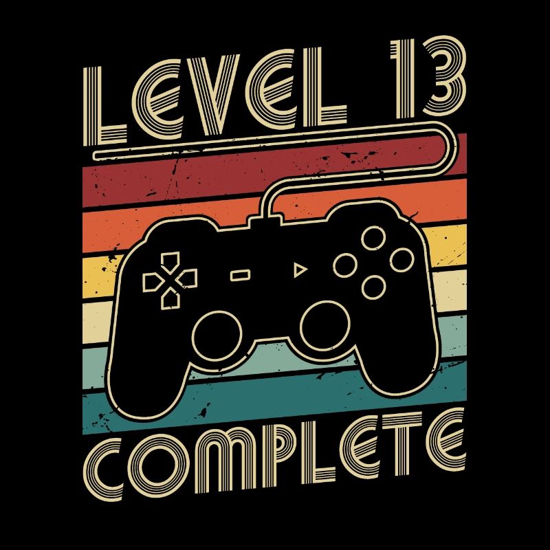 Level 13 Complete 13 Years Birthday Gift