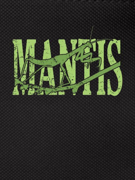 Mantis Insect