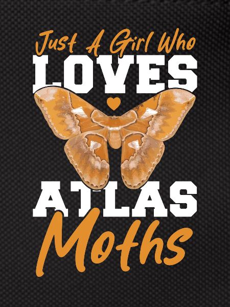Moths Insect Gift