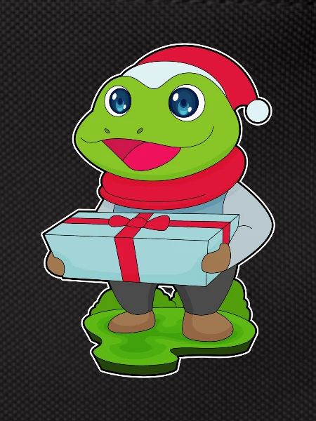 Frog Christmas Package