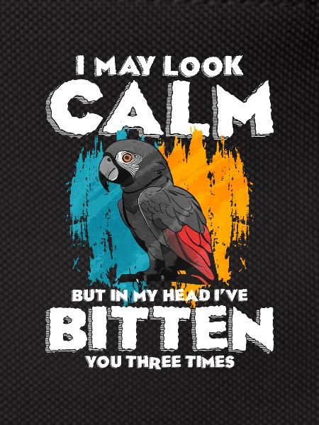 African Grey Parrot Gift