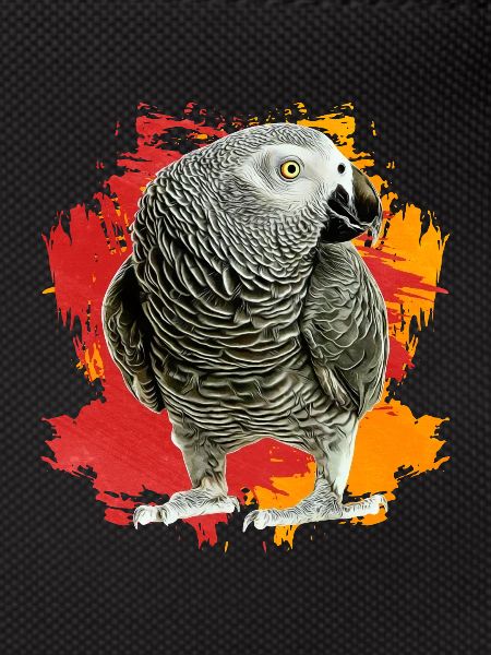 African Grey Parrot Gift