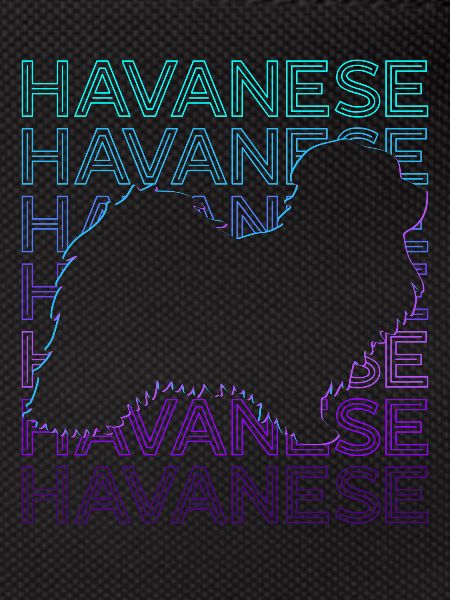 Havanese Dog Retro