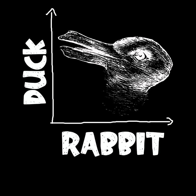 Wittgensteins Rabbit Duck Illusion
