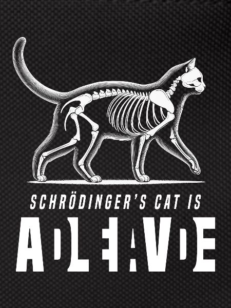 Chat de Schrödinger