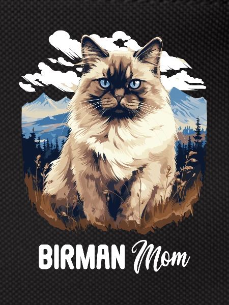 Birman Cat Birma Katze