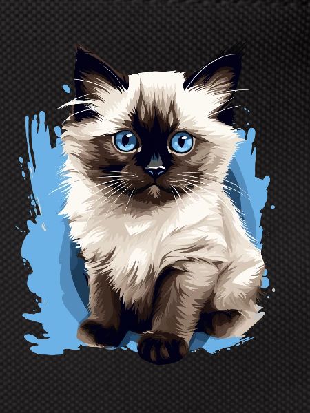 Birman Cat Birma Katze