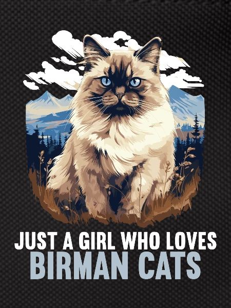 Birman Cat Birma Katze