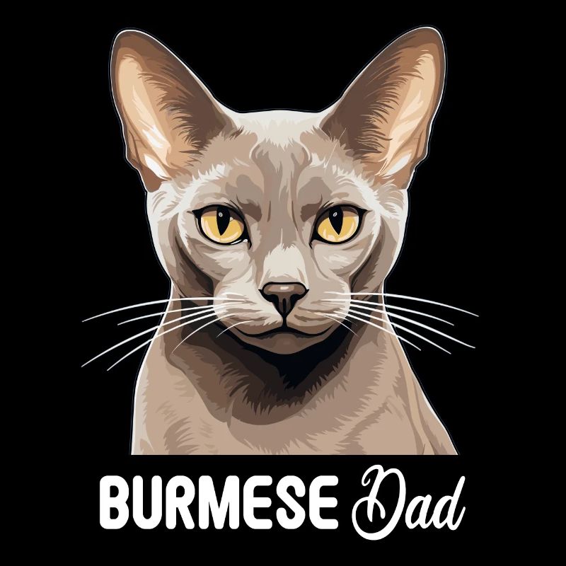 Chat birman Birmanie Katze