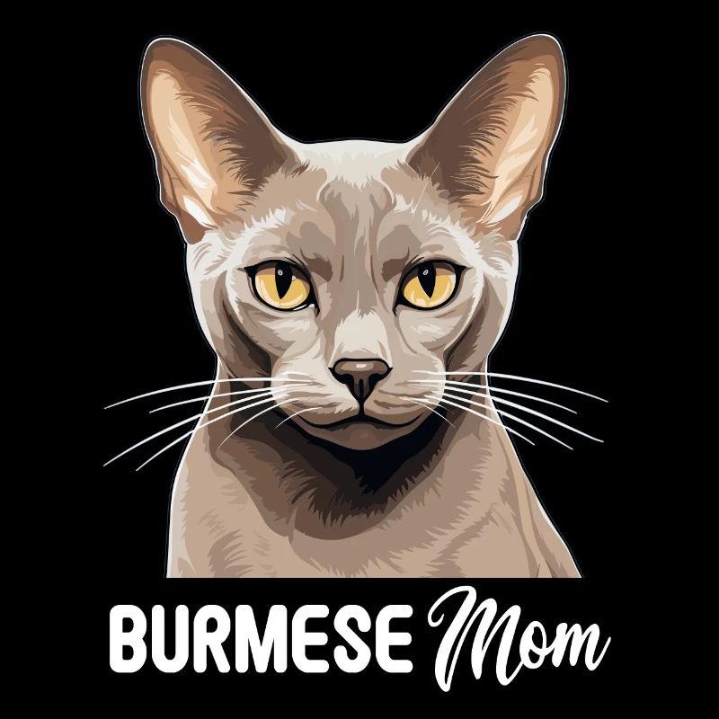 Burmese Cat Burma Katze