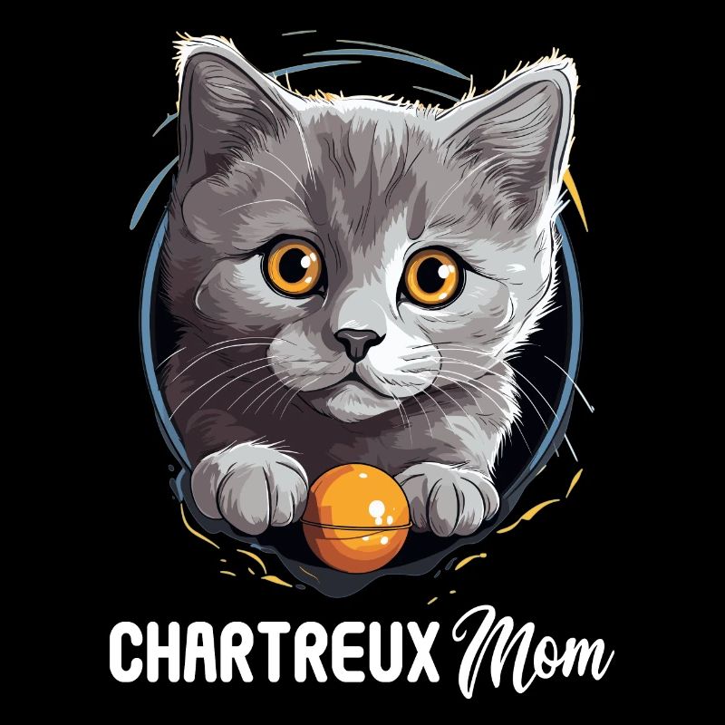 Chat Chartreux Chat Chartreux