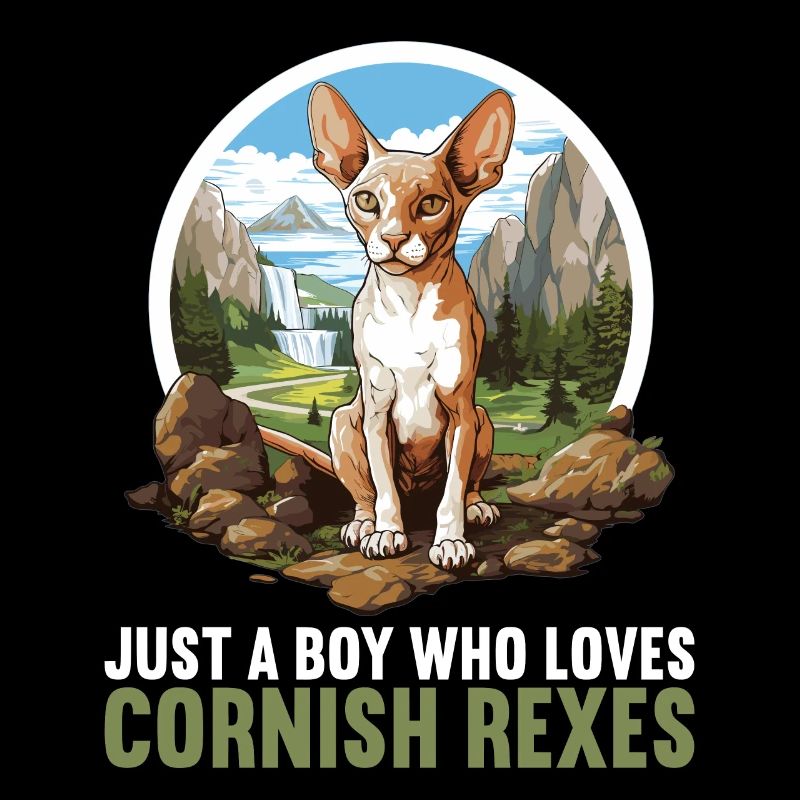 Cornish Rex Kätzchen Cornish Rex Katze