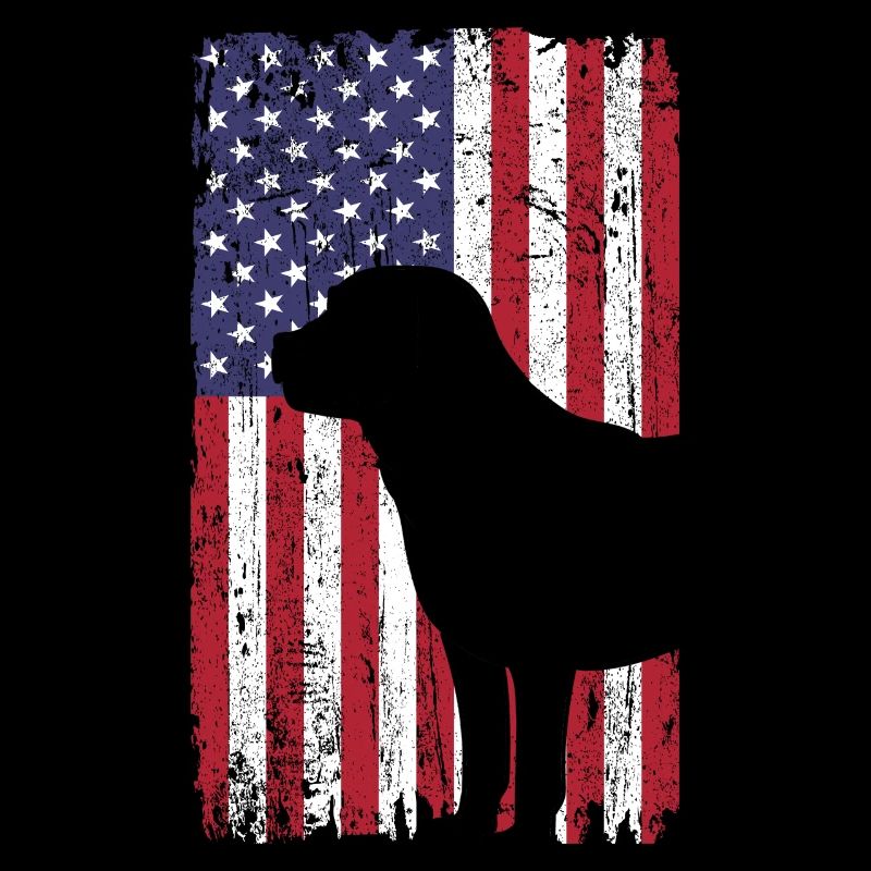 Labrador Retriever Hund mit USA Flagge