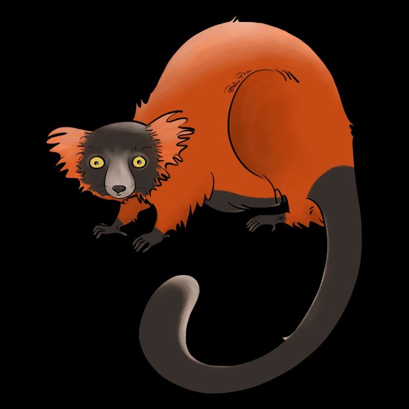 Rufous vari, Lemur oder nichts