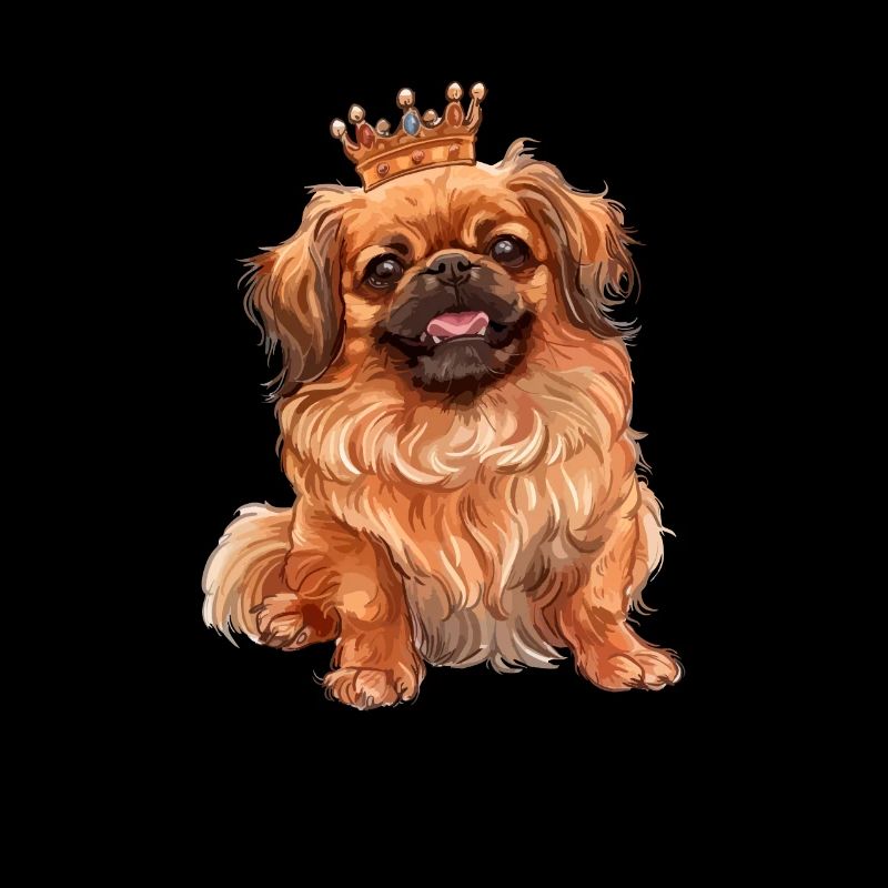 Pekingese crown