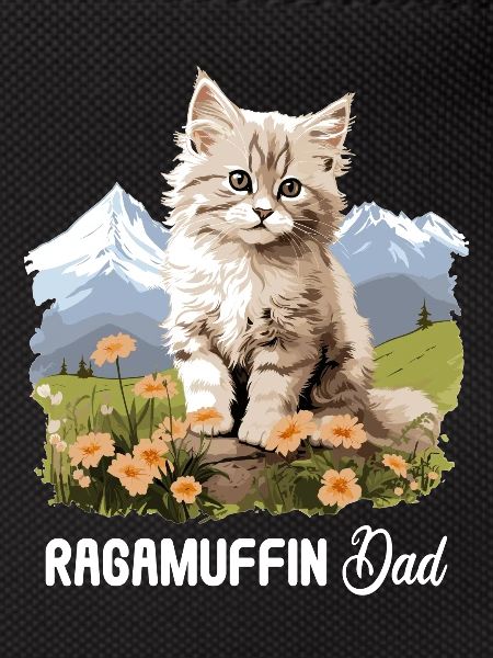 Ragamuffin Kitten Ragamuffin Cat