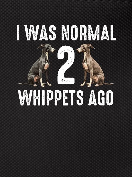Whippet Dog