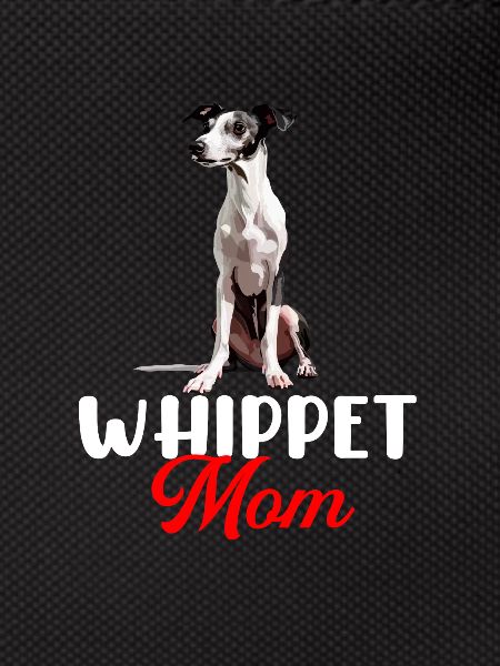 Whippet Dog