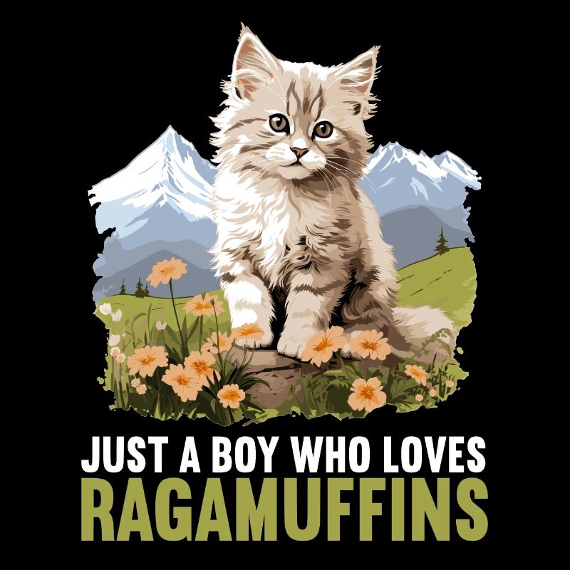 Ragamuffin Kätzchen Ragamuffin Katze