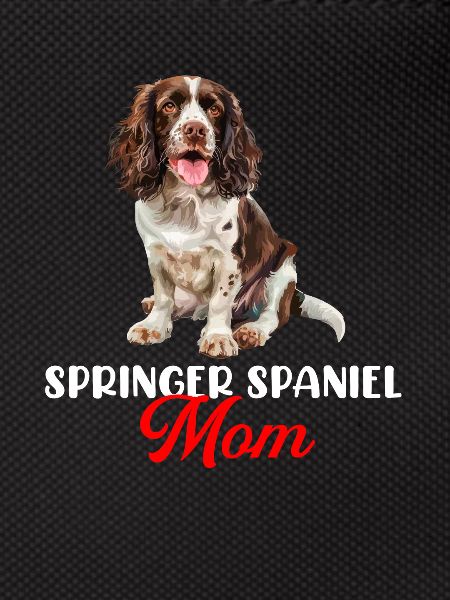 Springer Spaniel