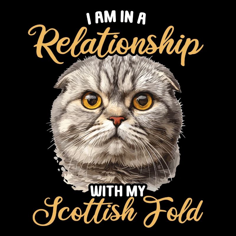 Scottish Fold Kitten Scottish Fold chat