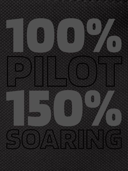 Airplane Pilot
