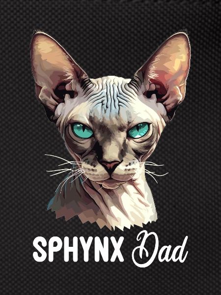 Sphynx Kitten Sphynx Cat