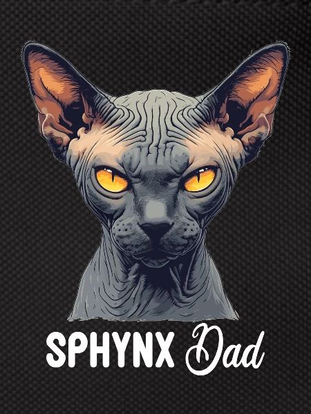 Sphynx Kitten Sphynx Cat