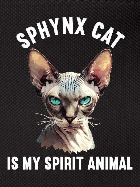 Sphynx Kitten Sphynx Cat
