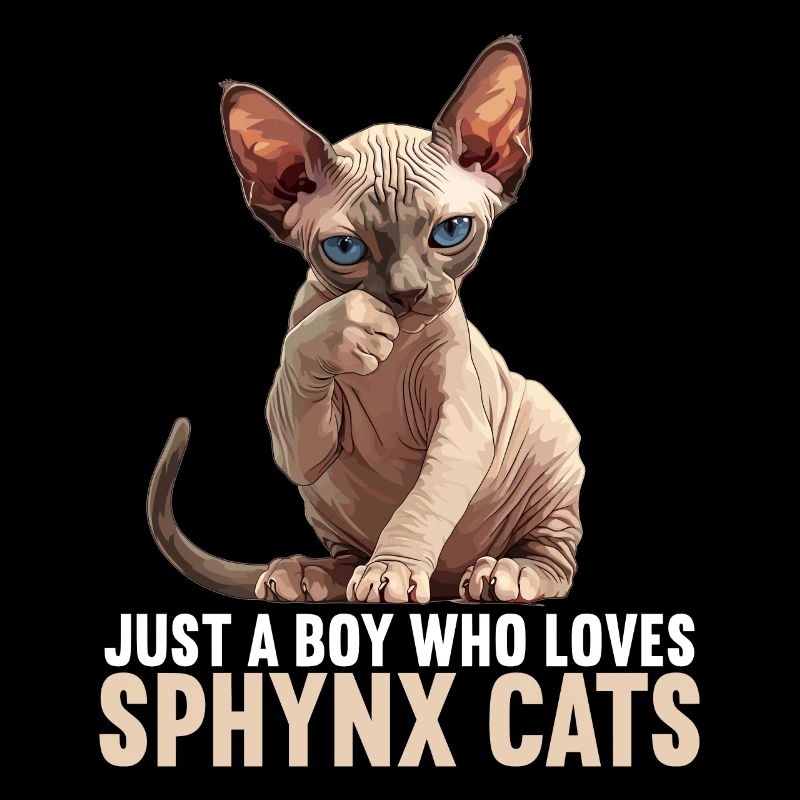 Chaton Sphynx Chat Sphynx