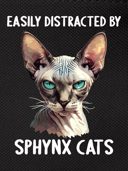 Sphynx Kitten Sphynx Cat