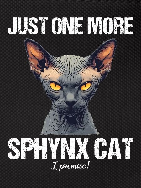 Sphynx Kitten Sphynx Cat
