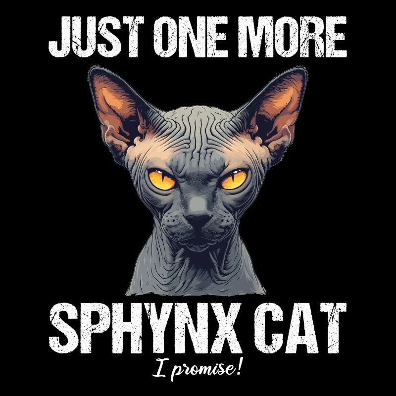 Chaton Sphynx Chat Sphynx