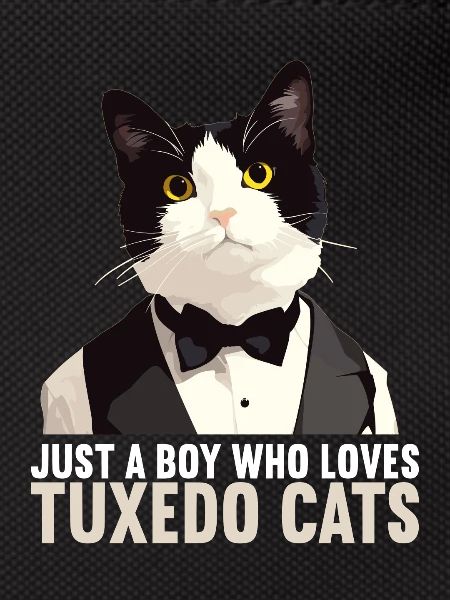 Tuxedo Kitten Tuxedo Cat