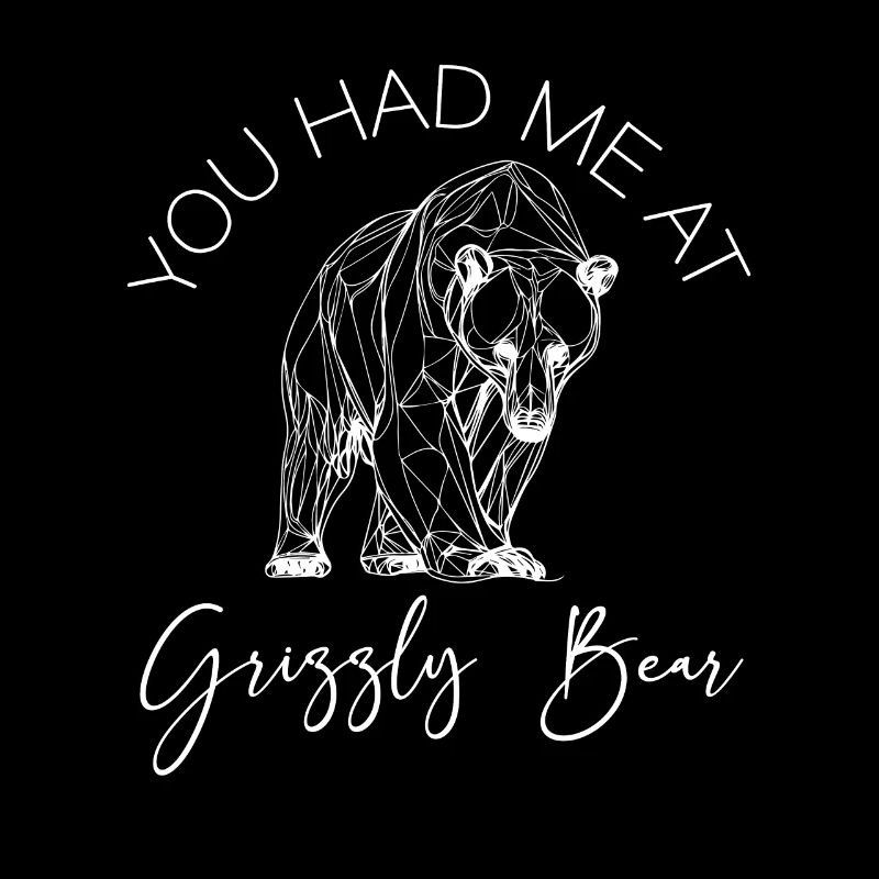 Grizzly Bear Brown Bear Bear